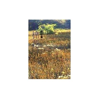 野棉花 pdf epub mobi 电子书 下载