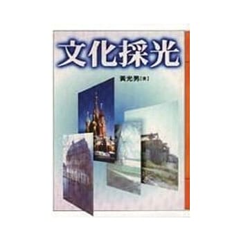 文化採光 pdf epub mobi 电子书 下载