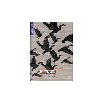 透视学习 pdf epub mobi 电子书 下载