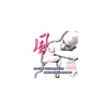 风 pdf epub mobi 电子书 下载