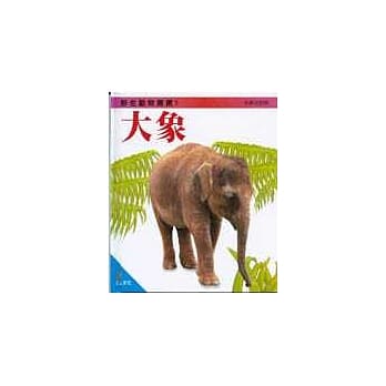 大象 pdf epub mobi 电子书 下载