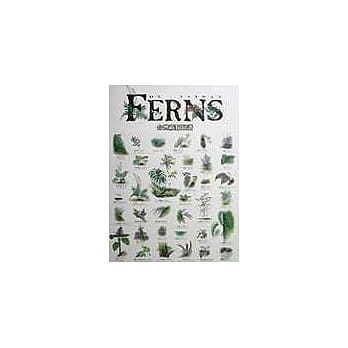 台湾蕨类图谱(海报) pdf epub mobi 电子书 下载