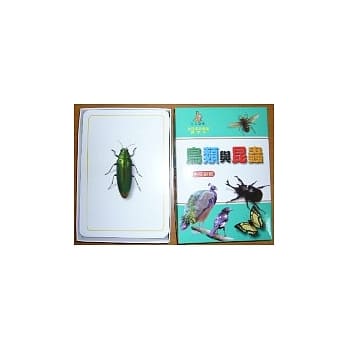 鸟类与昆虫 pdf epub mobi 电子书 下载