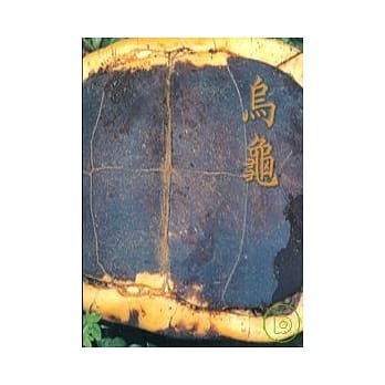 乌龟 pdf epub mobi 电子书 下载