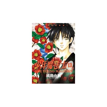 少年魔法士 13 pdf epub mobi 电子书 下载