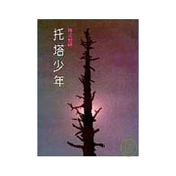 托塔少年(平) pdf epub mobi 电子书 下载