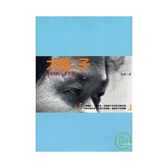 大地之子－黄春明的小说世界 pdf epub mobi 电子书 下载