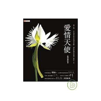 爱情天使 pdf epub mobi 电子书 下载