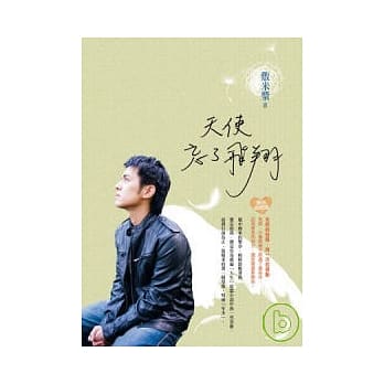 天使忘了飞翔 pdf epub mobi 电子书 下载