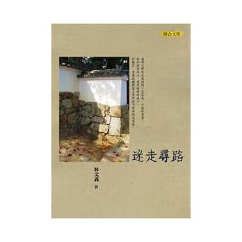 迷走寻路 pdf epub mobi 电子书 下载