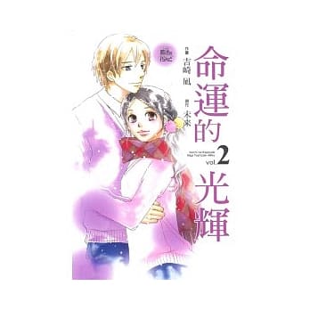 命运的光辉 2 pdf epub mobi 电子书 下载