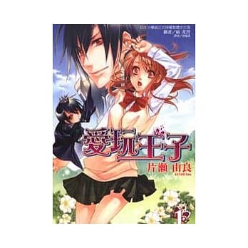 爱玩王子 1 pdf epub mobi 电子书 下载