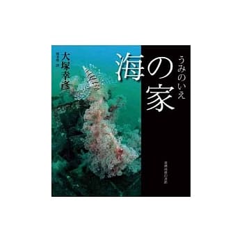 海之家 pdf epub mobi 电子书 下载