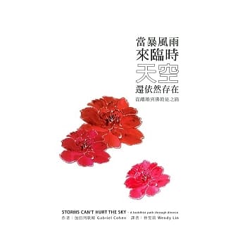 当暴风雨来临时天空还依然存在：从离婚到佛教途之路 pdf epub mobi 电子书 下载