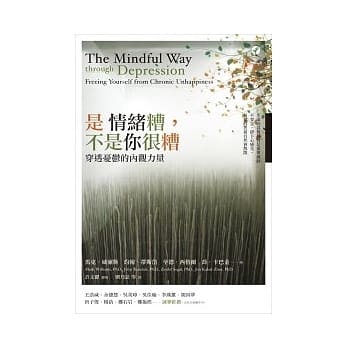 是情绪糟，不是你很糟：穿透忧郁的内观力量 pdf epub mobi 电子书 下载