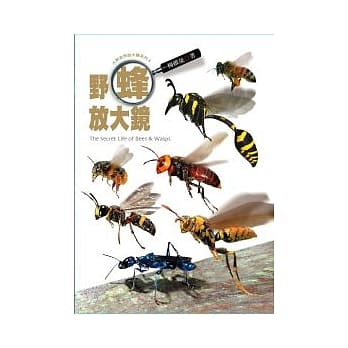 野蜂放大镜 pdf epub mobi 电子书 下载