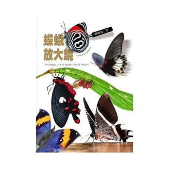 蝶蛾放大镜 pdf epub mobi 电子书 下载