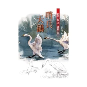 沈石溪动物小说：哨兵天鹅 pdf epub mobi 电子书 下载