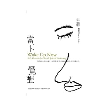 当下觉醒 pdf epub mobi 电子书 下载