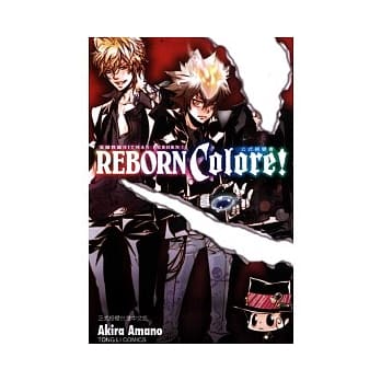 家庭教师HITMAN REBORN! 公式视觉书 全 pdf epub mobi 电子书 下载