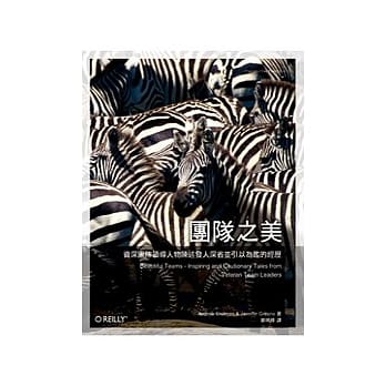 团队之美 pdf epub mobi 电子书 下载