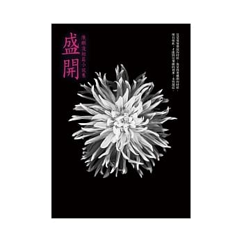 盛开：陈麒凌短篇小说集 pdf epub mobi 电子书 下载