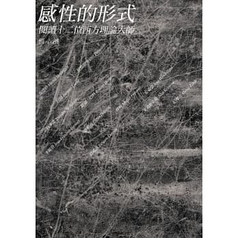 感性的形式：阅謮十二位西方理论大师 pdf epub mobi 电子书 下载