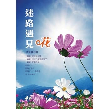 迷路遇见花 pdf epub mobi 电子书 下载