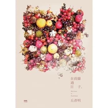 在荷兰过日子 pdf epub mobi 电子书 下载