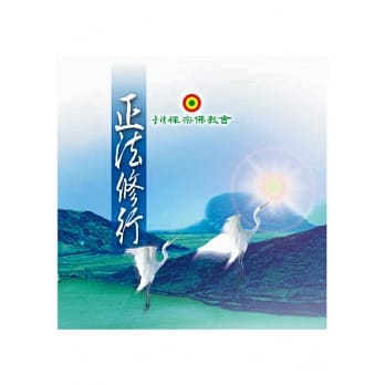 正法修行(再版) pdf epub mobi 电子书 下载