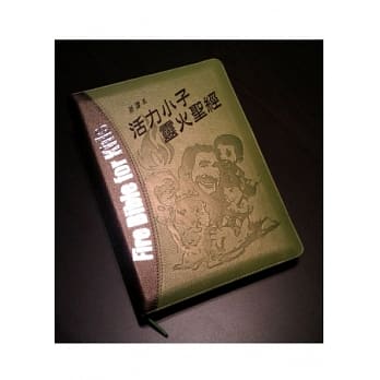 圣经：活力小子灵火圣经新译本(绿银皮面拉鍊拇指索引) pdf epub mobi 电子书 下载