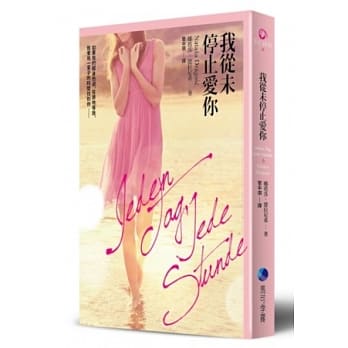 我从未停止爱你 pdf epub mobi 电子书 下载