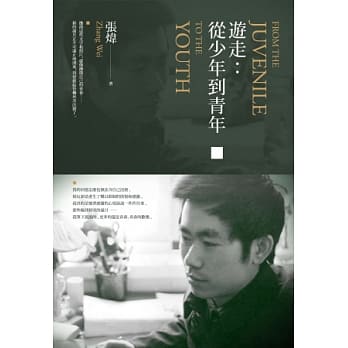 游走：从少年到青年 pdf epub mobi 电子书 下载