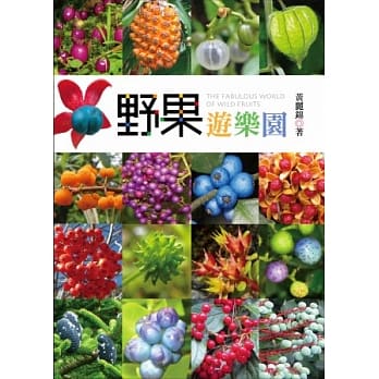 野果游乐园 pdf epub mobi 电子书 下载