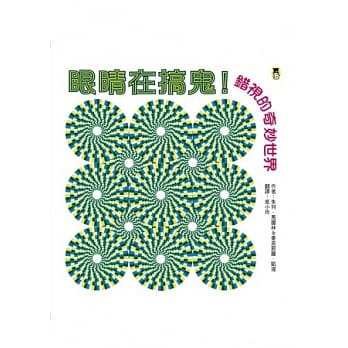 眼睛在搞鬼！错视的奇妙世界 pdf epub mobi 电子书 下载