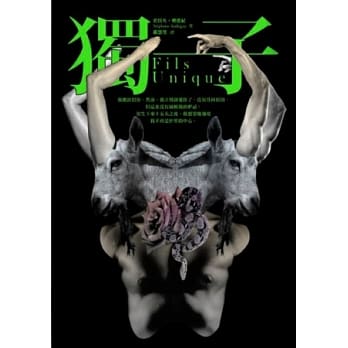 独子 pdf epub mobi 电子书 下载