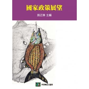 国家政策展望 pdf epub mobi 电子书 下载