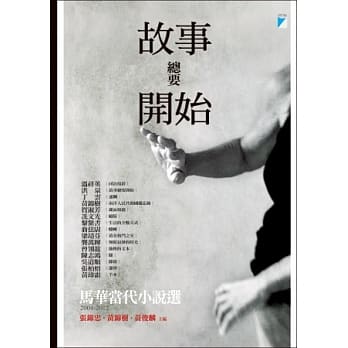 故事总要开始：马华当代小说选（2004-2012） pdf epub mobi 电子书 下载