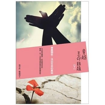 穿越生命难题：疗癒关系，活出生命的奥秘（下） pdf epub mobi 电子书 下载