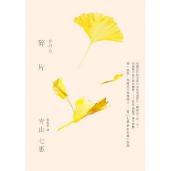 碎片 pdf epub mobi 电子书 下载