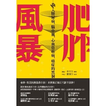 肥胖风暴：掉入糖尿病、脑中风、心血管疾病、癌症的黑洞 pdf epub mobi 电子书 下载
