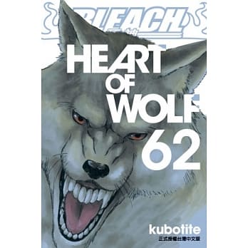 BLEACH 死神 62 pdf epub mobi 电子书 下载