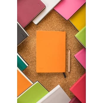 笔记本秋枫金桔 pdf epub mobi 电子书 下载