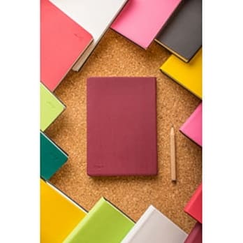 笔记本艳红石榴(50K) pdf epub mobi 电子书 下载