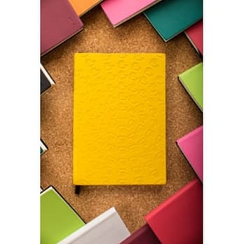 笔记本黄色小鸭 pdf epub mobi 电子书 下载