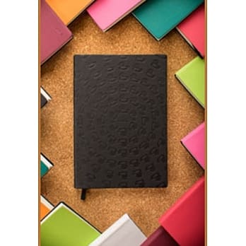 笔记本黑色小鸭(50K) pdf epub mobi 电子书 下载