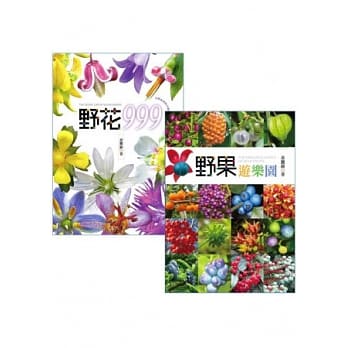 野花999+野果游乐园 pdf epub mobi 电子书 下载