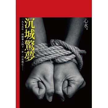 沉城惊梦 pdf epub mobi 电子书 下载
