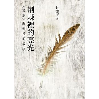荆棘里的亮光 pdf epub mobi 电子书 下载