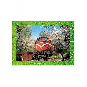 惜台湾Show Taiwan：绿色奇蹟岛 pdf epub mobi 电子书 下载